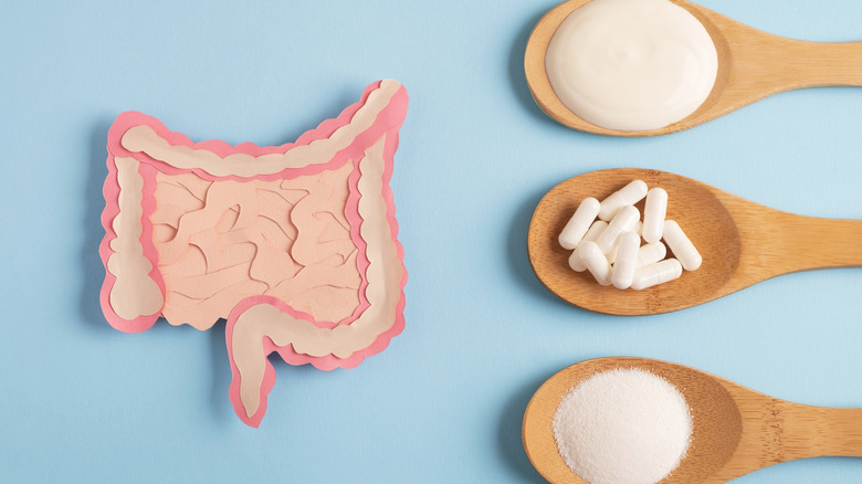 Probiotics and a cutout of the digestive system