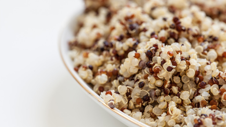 Close-up of quinoa