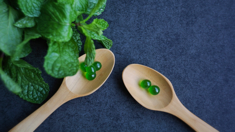 Mint oil extract capsules next to mint plant