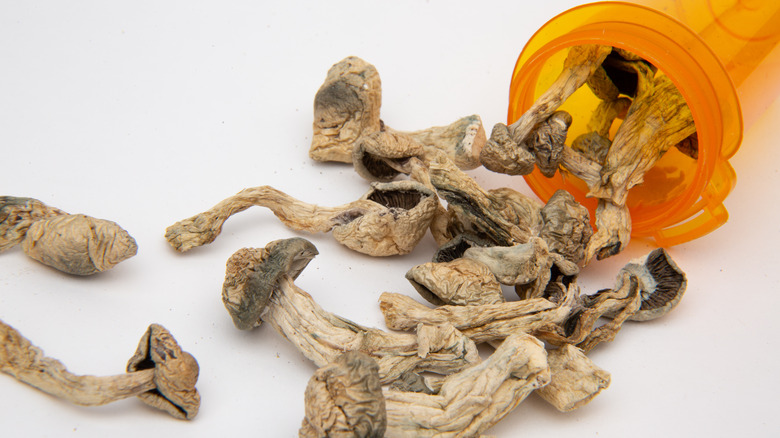 Psychedelic mushrooms pouring from prescription bottle