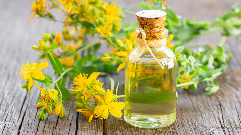 St. John's Wort oil