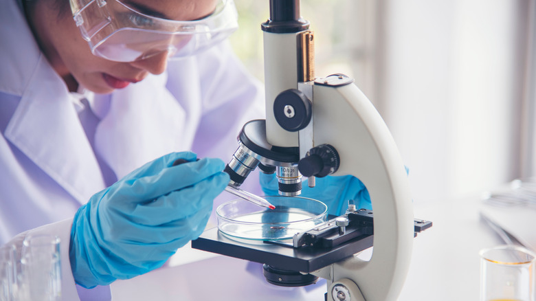 researcher looking in microscope