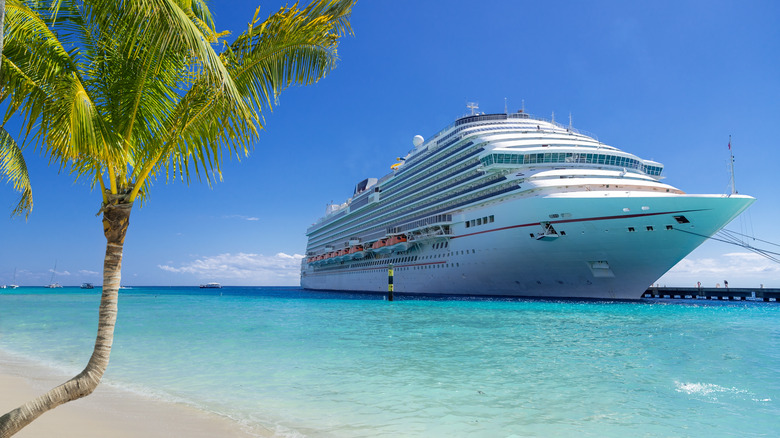 Cruise ship at an island