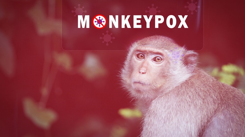 Monkey next to monkeypox sign