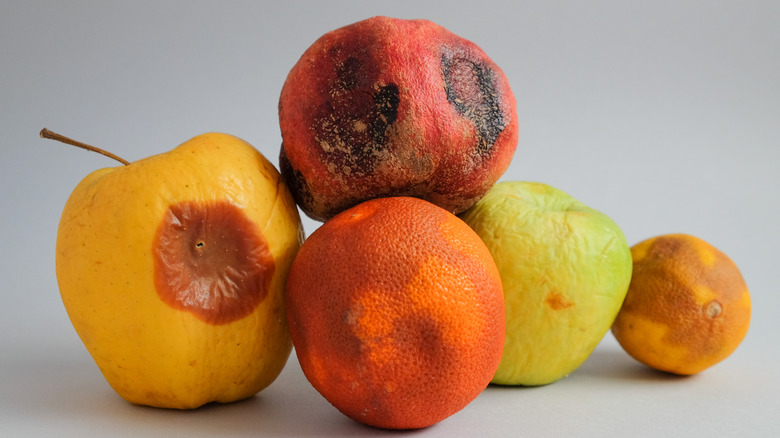 spoiled fruit