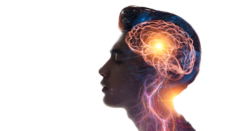 How to Improve Your Memory