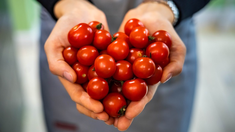 Hand holding fresh tomatoes