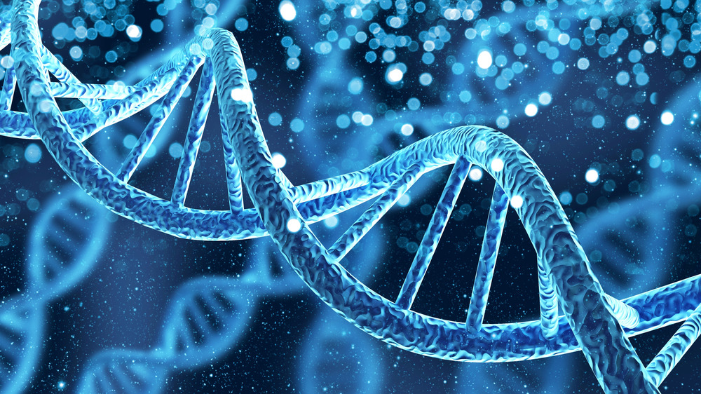 DNA