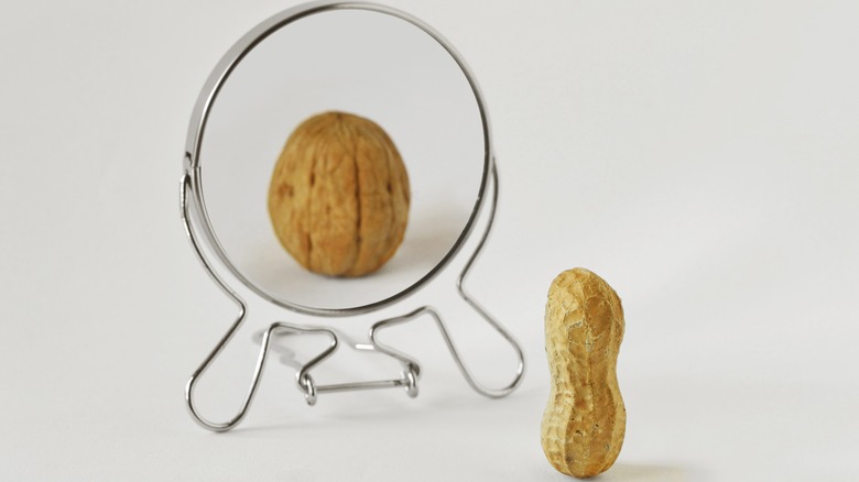 walnut looking in mirror body dysmorphia
