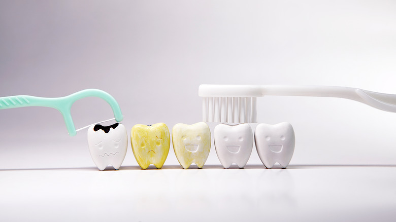 toy teeth with toothbrush and floss pick