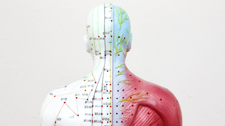 acupuncture meridians 
