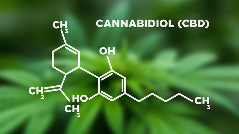 CBD chemical makeup concept