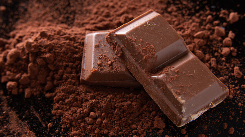 Three squares of chocolate on top of a pile of cocoa