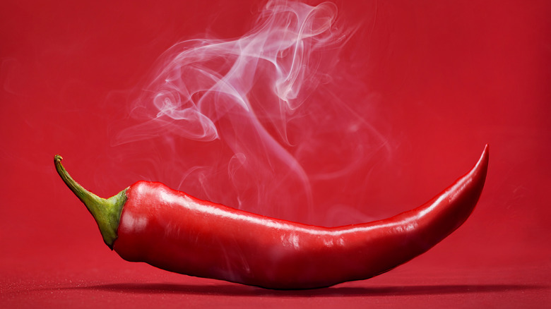 a smoking hot pepper