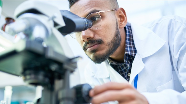 lab technician examines precancerous cells