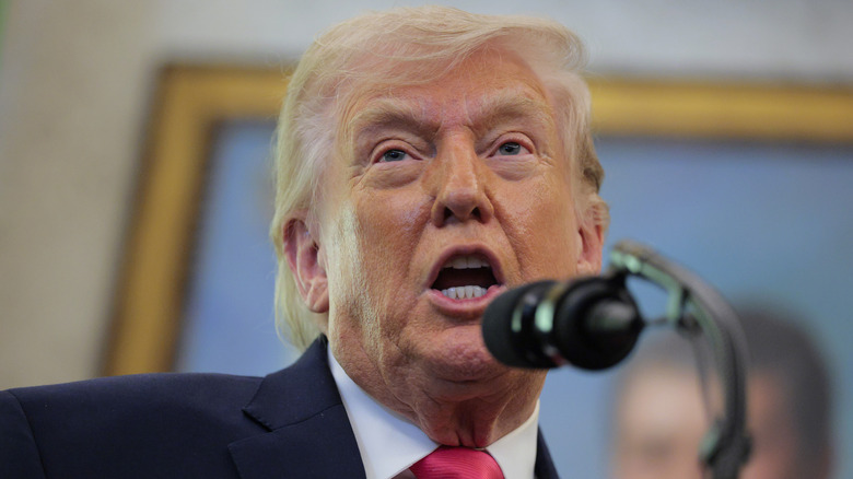 Donald Trump talking into a microphone