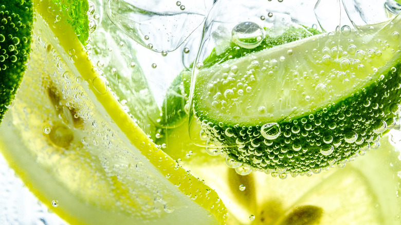 lemon and lime in fizzy sparkling water