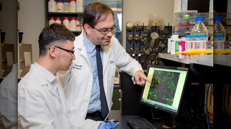 Dr. David Sanchez studying vaccines