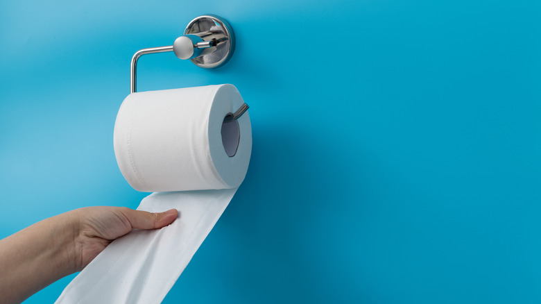 hand pulling toilet paper