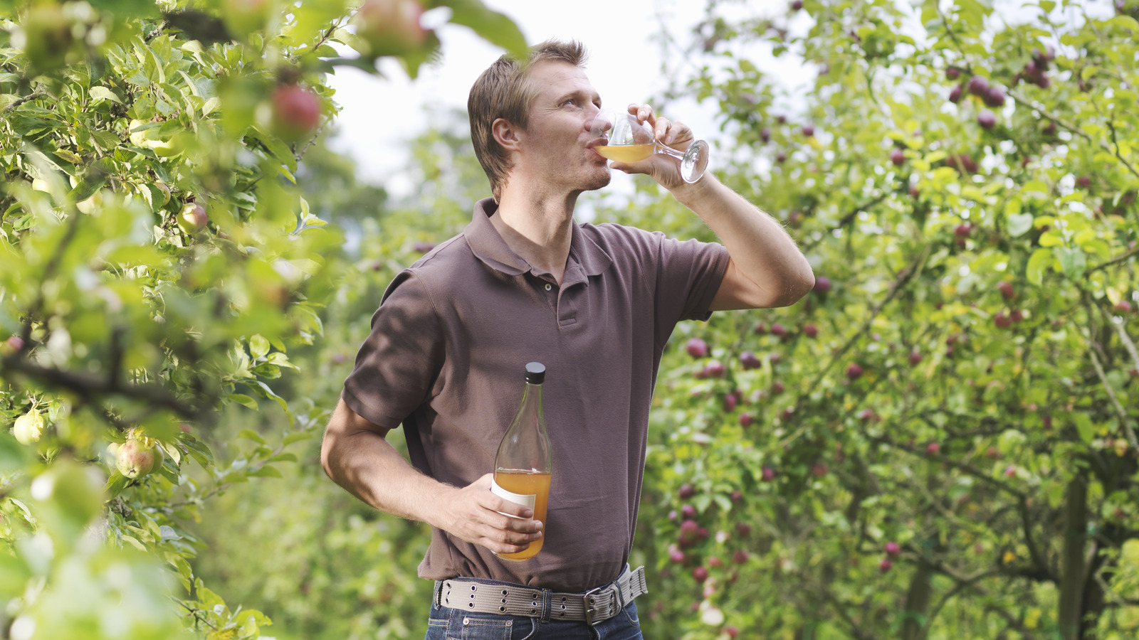 <a href="https://www.healthdigest.com/1717501/drinking-apple-cider-juice-benefits-every-day-unexpected-effect-mens-prostate-health/" target="_blank">Drinking Apple Cider Every Day Has A Little-Known Effect On A Man’s Prostate Health</a>