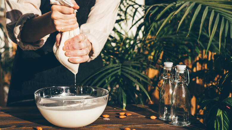 woman squeezing bag of crushed almonds for its milk