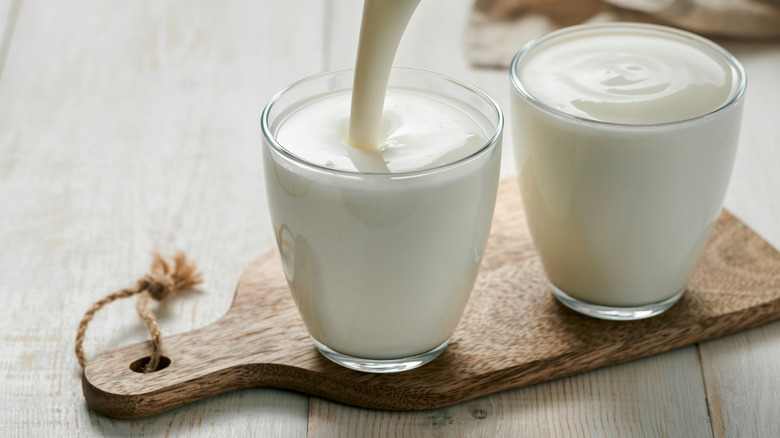 homemade kefir poured into small glasses