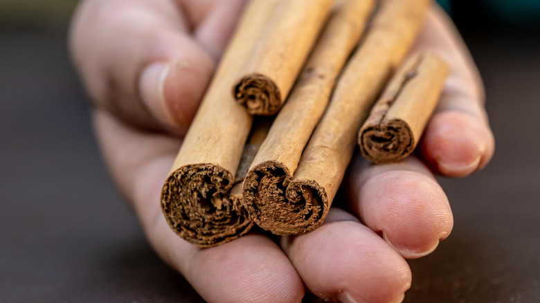 Holding cinnamon sticks