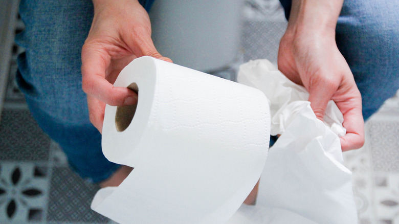person sitting on a toilet holding toilet paper rolls