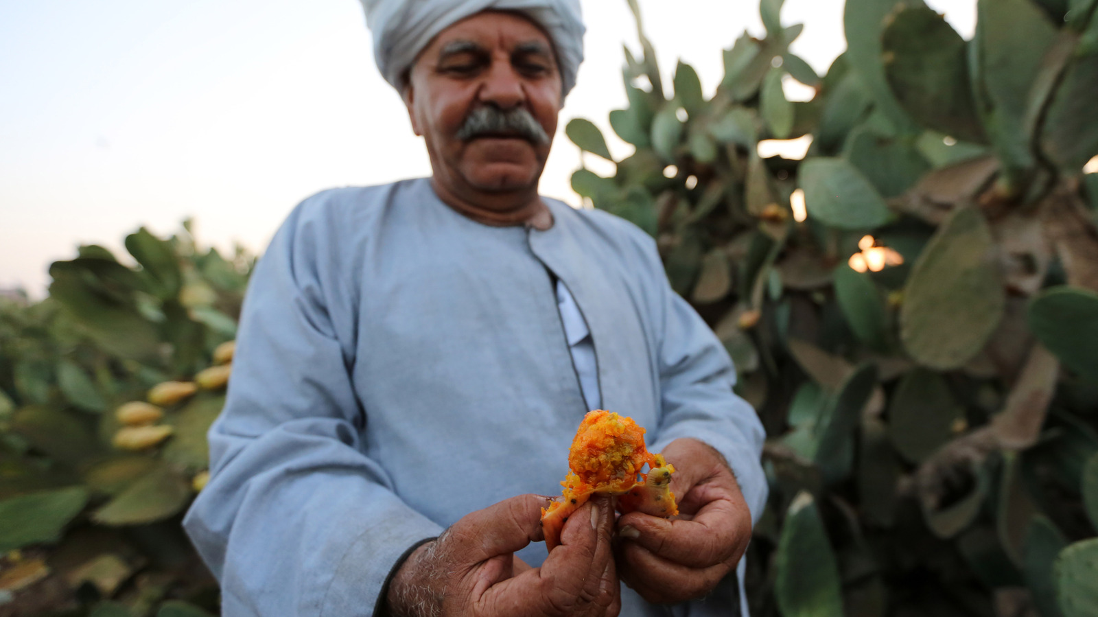 <a href="https://www.healthdigest.com/1808590/prickly-pear-cactus-fruit-high-in-magneisum-unexpected-effect-on-cholesterol/" target="_blank">Eating Prickly Pear Fruit Is High In Magnesium (And Has An Unexpected Effect On Your Cholesterol)</a>