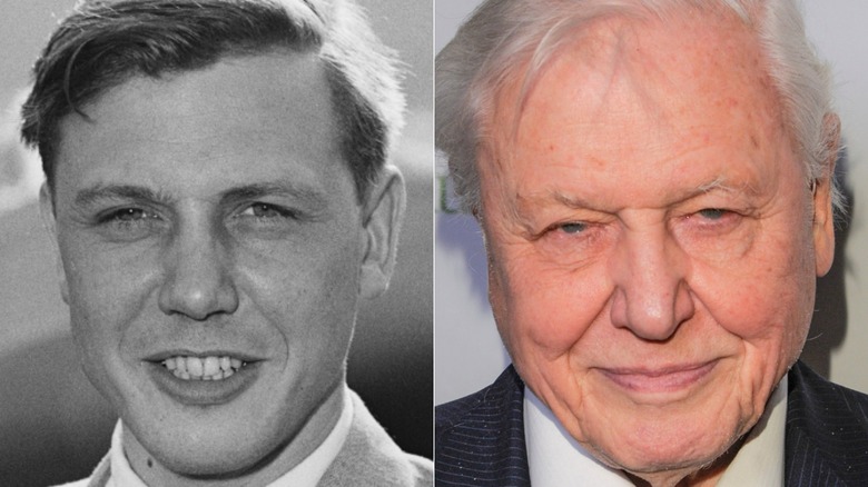 David Attenborough posing at an event
