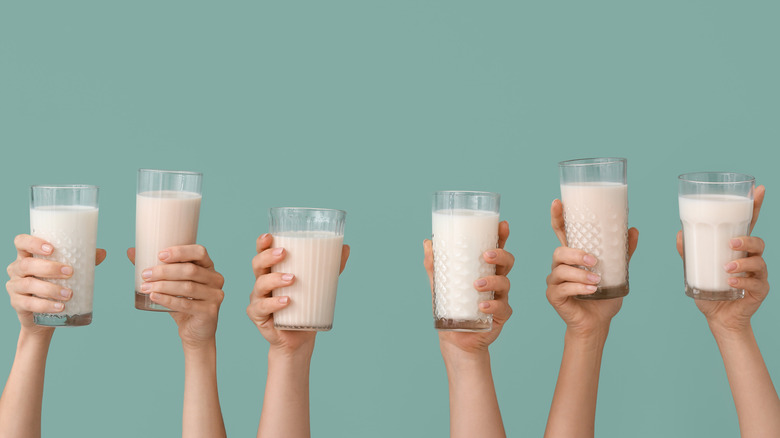 plant-based milks in glasses
