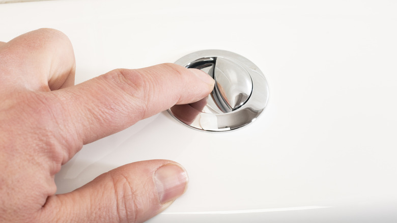 person pressing flusher on toilet