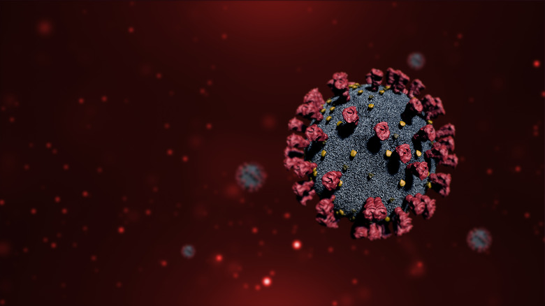 COVID-19 virus molecules