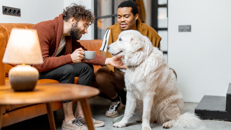 Couple petting dog