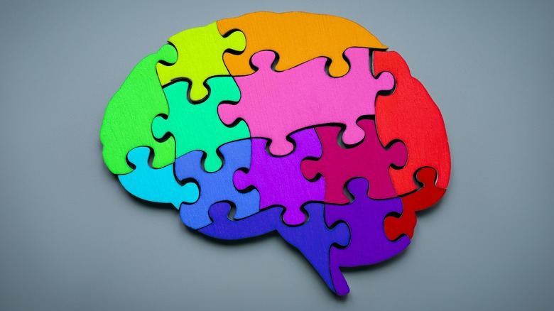 Brain as multicolored puzzle