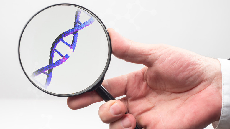 DNA concept