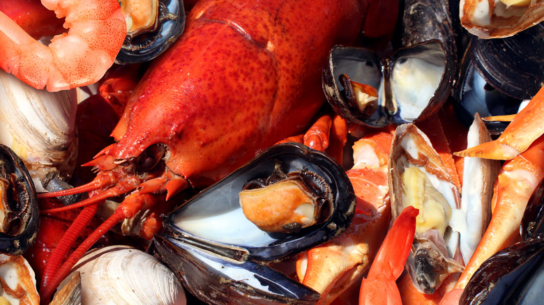 various shellfish close-up shot