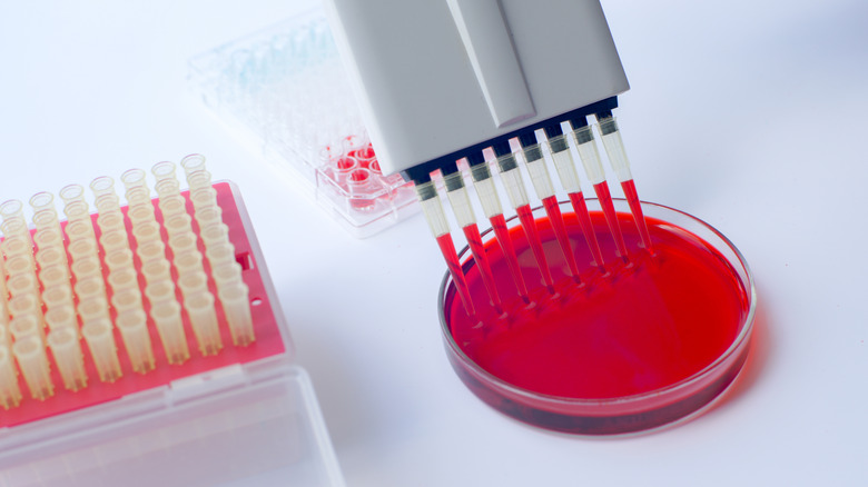 blood tests with multiple pipettes