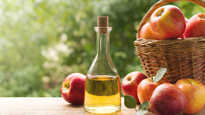 bottle of apple cider vinegar with apples