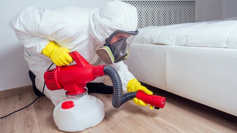 man spraying pesticide