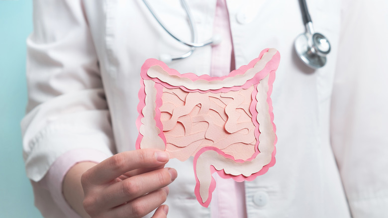 doctor holding a paper cutout of the intestinal system