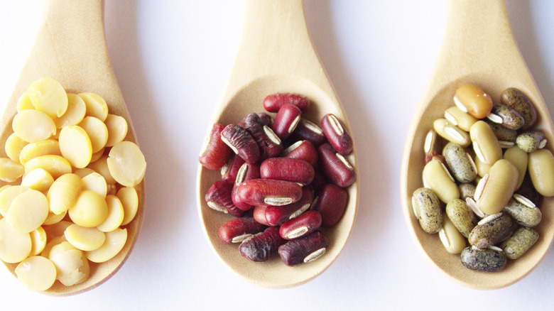 wooden spoons with beans and lentils