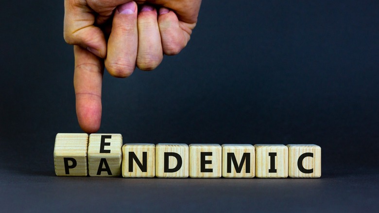 COVID-19 pandemic to endemic