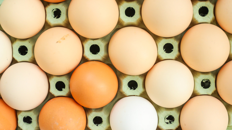 Eggs in an egg carton from a bird's eye view