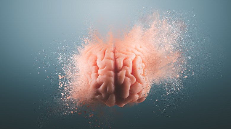 A human brain on a gray background