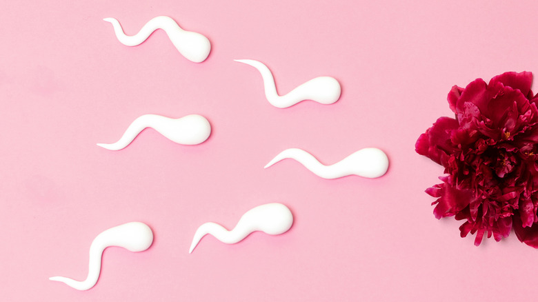 concept image of white sperm swimming to female vagina
