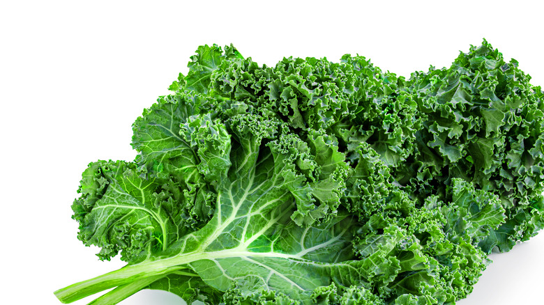 a bunch of kale on white