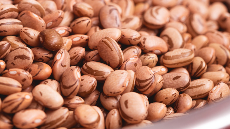 Close-up of a white plate of pinto beans