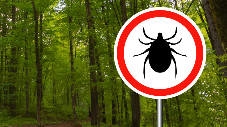 Warning sign ticks in woods