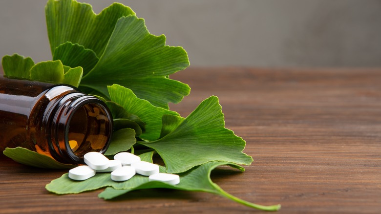 gingko biloba plant and pills